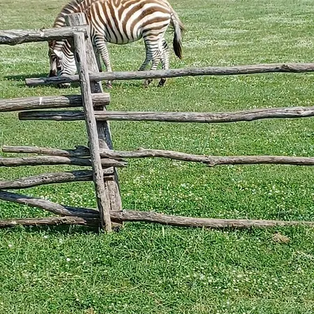 La E Il Mare * 풀라