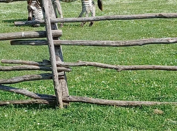 Apartments La Vita E Il Mare * Пула