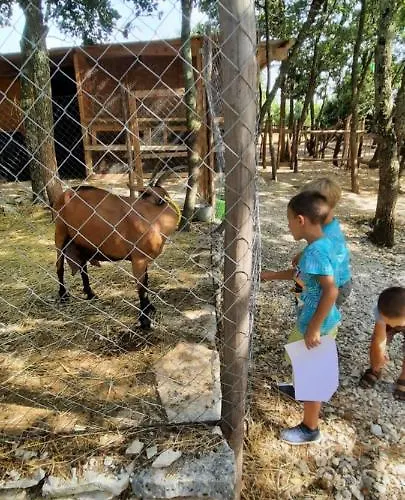 Apartments La Vita E Il Mare Апартаменты *